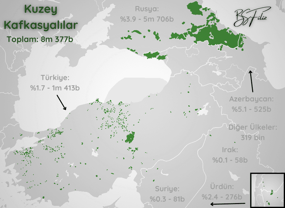 21. Yüzyılda Kuzey Kafkasyalılar
